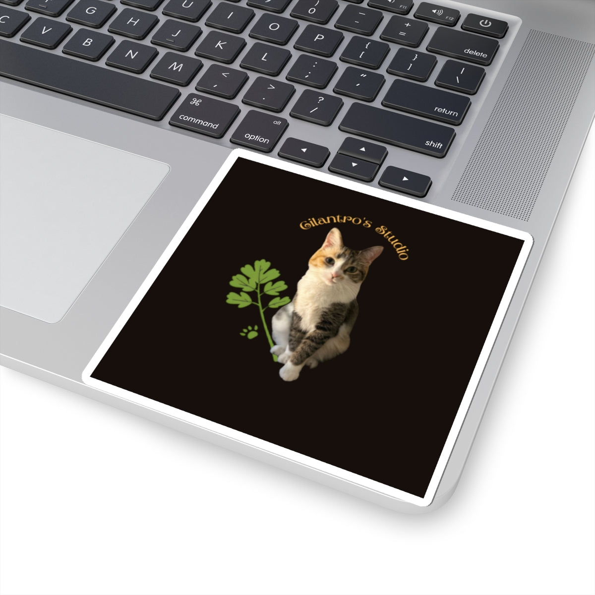 Charming Cat Sticker for Pet Lovers, Laptop Decal, Cute Cat Decor, Custom Animal Sticker, Gift for Cat Owners